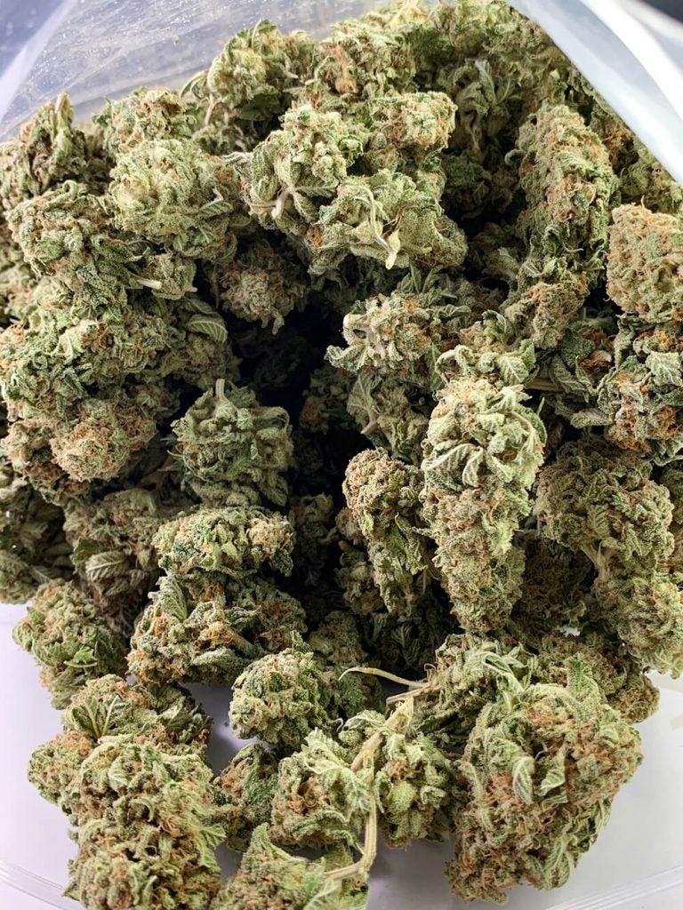 dailymarijuana_image_online dispensary canada wholesale 1