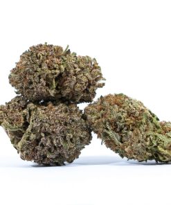 BLACK DOMINA cannabis strain buy online canada
