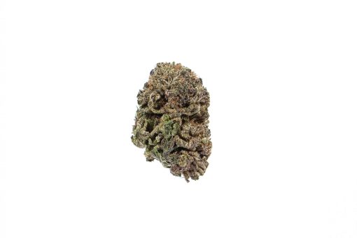 dailymarijuana_image_BLACK DOMINA marijuana strain buy online canada