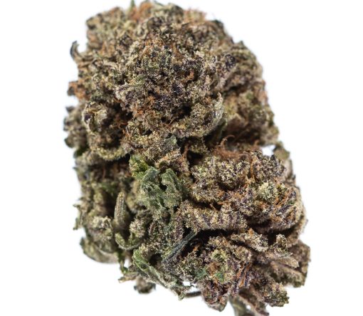 dailymarijuana_image_BLACK DOMINA weed strain buy online canada