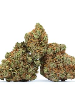 dailymarijuana_image_SKYWALKER marijuana strain canada buy online