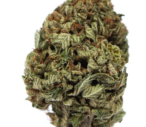 dailymarijuana_image_SOUR KUSH cannabis strain buy online canada