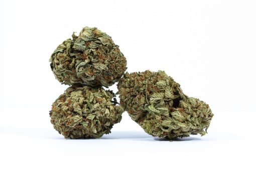 dailymarijuana_image_SOUR KUSH weed strain buy online canada