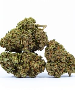 BIG BUD marijuana strain buy online canada