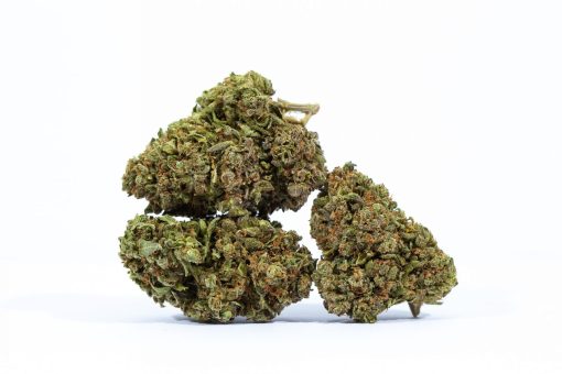 dailymarijuana_image_BIG BUD marijuana strain buy online canada
