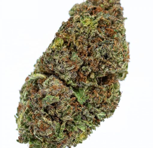 dailymarijuana_image_BLUE MAGOO marijuana strain buy online canada