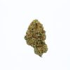 dailymarijuana_image_CITRAL GLUE cannabis strain buy online canada