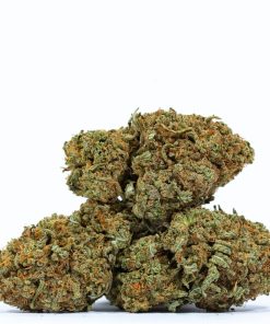 CITRAL GLUE weed strain buy online canada