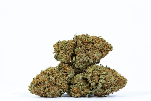 dailymarijuana_image_CITRAL GLUE weed strain buy online canada