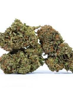 ERDPURT cannabis strain buy online canada