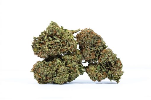 dailymarijuana_image_ERDPURT cannabis strain buy online canada
