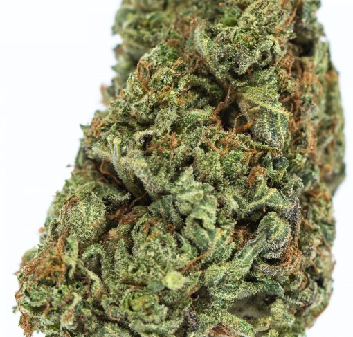 dailymarijuana_image_ERDPURT marijuana strain buy online canada