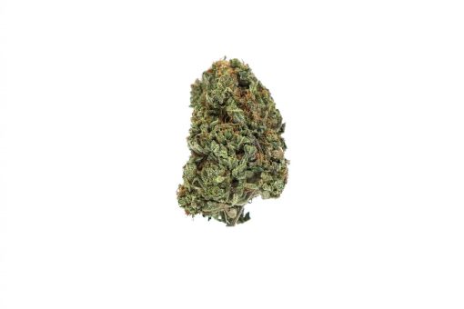 dailymarijuana_image_ERDPURT weed strain buy online canada