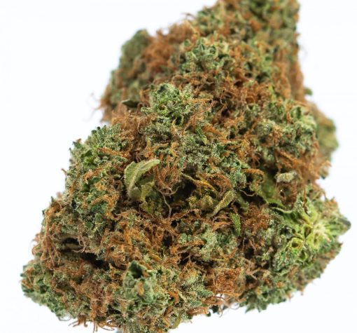 dailymarijuana_image_LEMON GRASS marijuana strain buy online canada