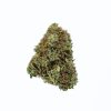 dailymarijuana_image_PINK STAR cannabis strain buy online canada