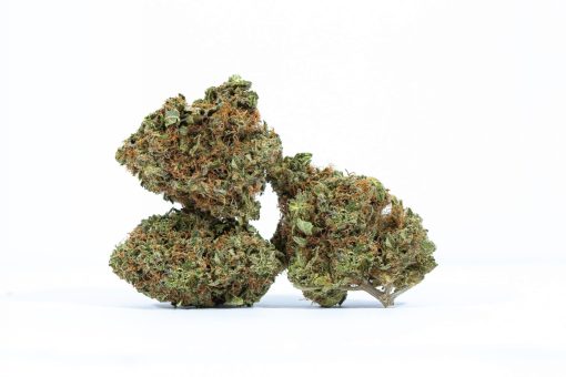 dailymarijuana_image_PINK STAR weed strain buy online canada