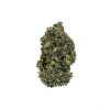 dailymarijuana_image_PURPLE MONKEY weed strain buy online canada