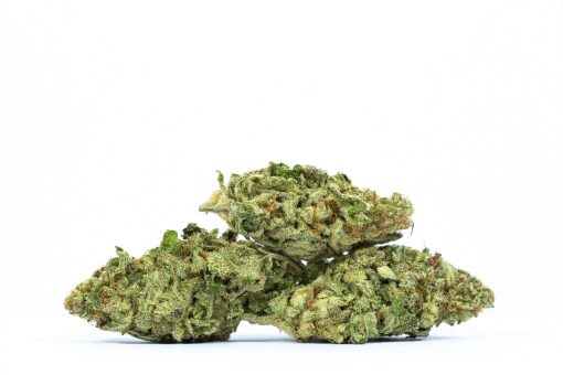 dailymarijuana_image_Papaya marijuana strain buy online canada