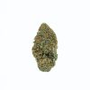 dailymarijuana_image_STARFIGHTER cannabis strain buy online canada