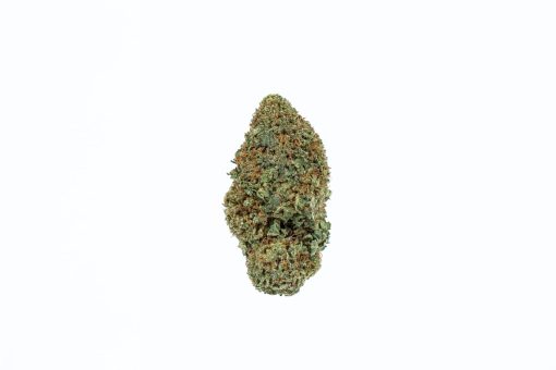 dailymarijuana_image_STARFIGHTER cannabis strain buy online canada