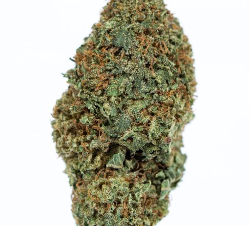 dailymarijuana_image_STARFIGHTER marijuana strain buy online canada