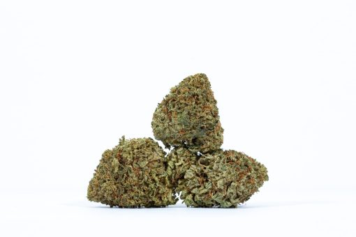 dailymarijuana_image_STARFIGHTER weed strain buy online canada