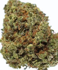 XXX OG marijuana strain buy online canada