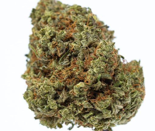 dailymarijuana_image_XXX OG marijuana strain buy online canada