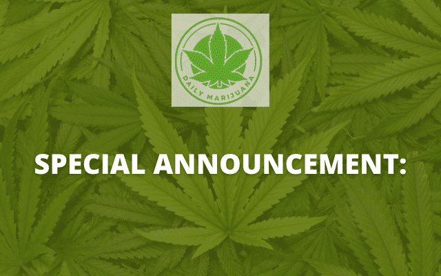 dailymarijuana_image_DM - Special Announcement Banner