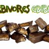 dailymarijuana_image_Herbivore Chocolates