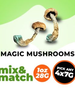 dailymarijuana_image_Magic Mushrooms M&M 28g