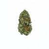 dailymarijuana_image_RECON-cannabis-strain-Buy-Online-Canada