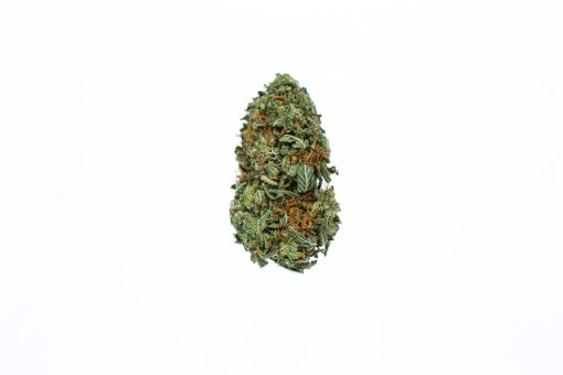 dailymarijuana_image_RECON-cannabis-strain-Buy-Online-Canada