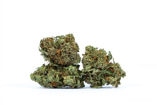 dailymarijuana_image_RECON-weed-strain-Buy-Online-Canada