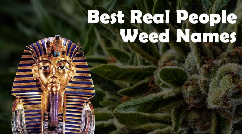 dailymarijuana_image_Best Real People Weed Names